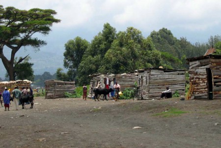 Ngaramtoni - mercato (masai) del bestiame