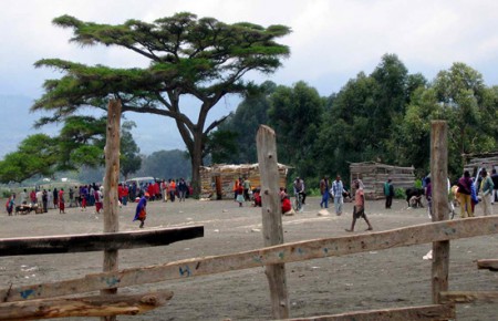 Ngaramtoni - mercato (masai) del bestiame