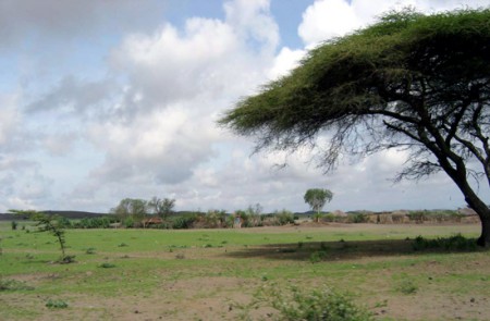 paesaggio lungo la strada