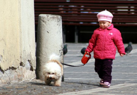 cuccioli a passeggio - Brasov