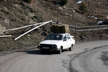 curioso incontro lungo la strada
