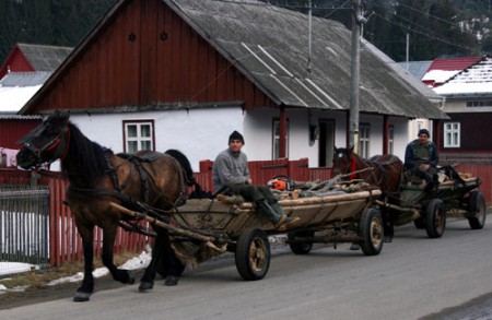 tipico mezzo di trasporto - Bucovina