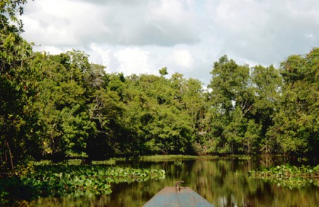 canale - delta dell'Orinoco