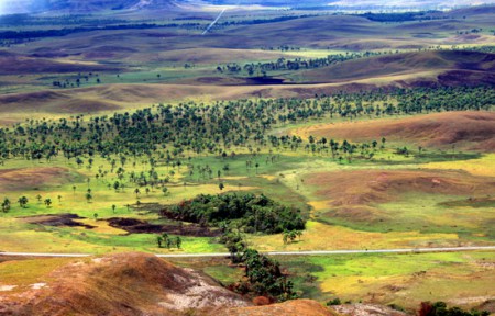 mirador de Jurasic Park - Gran Sabana