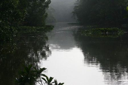 alba - delta dell'Orinoco