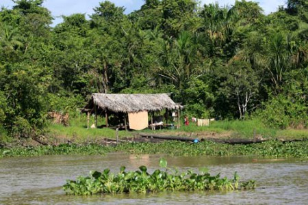 capanna warao - delta dell'Orinoco