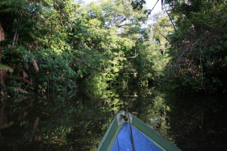 canale - delta dell'Orinoco