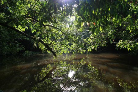 canale - delta dell'Orinoco