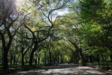 New York - Central Park