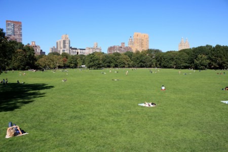 New York - Central Park