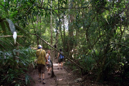 Tikal - sentiero tra la giungla