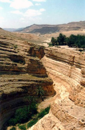 canyon - oasi di montagna