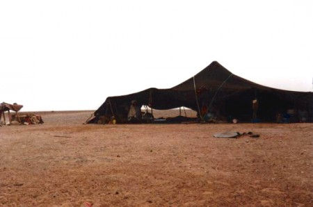 tenda tuareg in mezzo all'hamada
