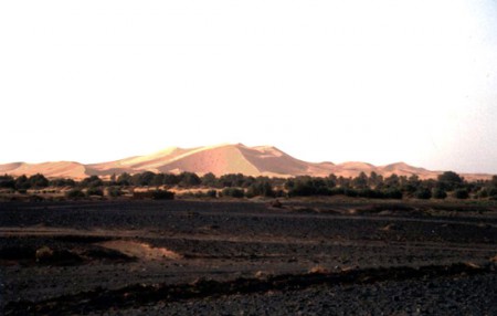 hamada e dune di Merzouga