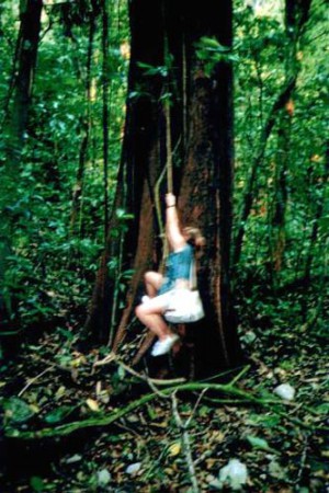 Palenque - sentiero nella giungla