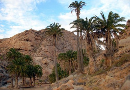 scorcio paesaggistico di Fuerteventura