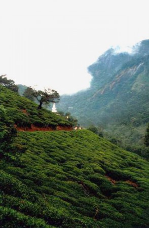 salita all'Adam's Peack