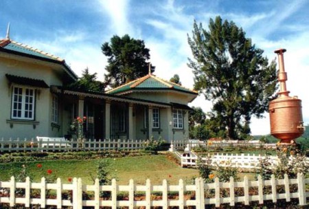 negozio di tè ad Ella