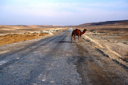 Karakum Desert - strada per Dashoguz