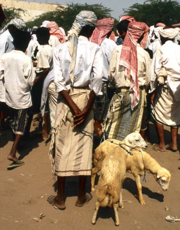 mercato animali di Bait Alfaqih