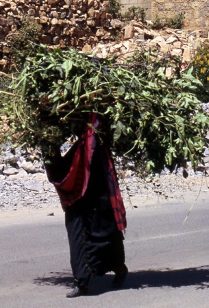 donna con carico di arbusti