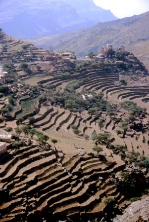 terrazzamenti - presso Al-Tawilla