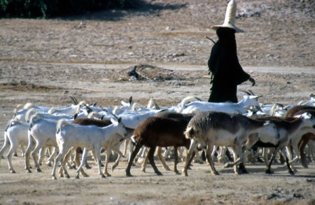 Wadi Hadramawt - donna in burqa con cappello di paglia appuntito