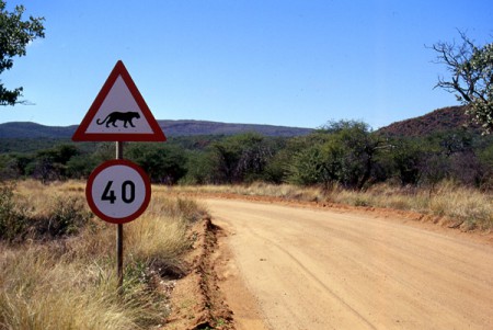 attenzione pericolo leopardi