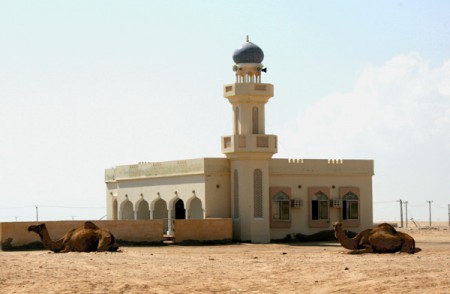 cammelli davanti alla moschea