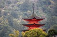 /album/giappone/giappone-1m-miyajima-pago-jpg/
