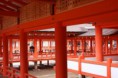 /album/giappone/giappone-1mm-miyajima-tem-jpg/