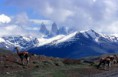 /album/cile/patagonia-terra-del-fu0106-jpg/